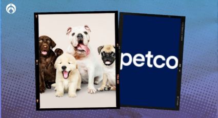 Petco lanza 'puppy playtime': así puedes llevar a tu lomito a socializar