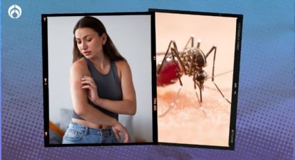 El repelente natural para zancudos y mosquitos que sólo necesita de dos ingredientes