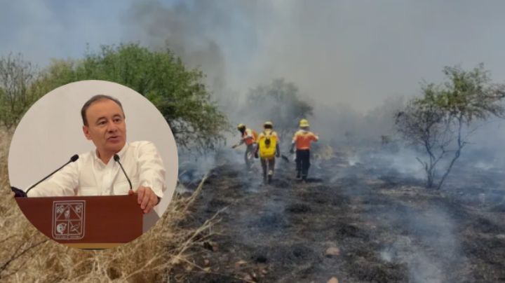 Militares y brigadistas forestales extinguen 32 incendios en lo que va del año en Sonora