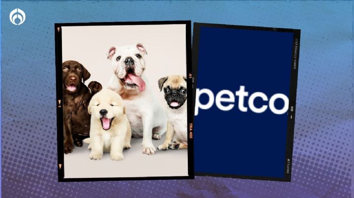 Petco lanza 'puppy playtime': así puedes llevar a tu lomito a socializar