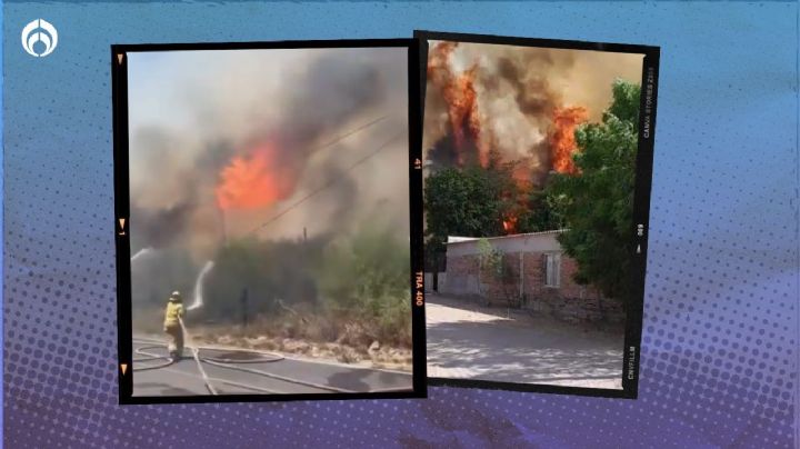 (VIDEO) 'Infierno' en Sonora: fuerte incendio forestal afecta decenas de casas en Guaymas