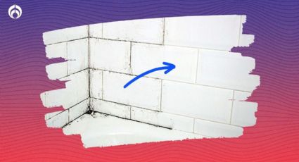 Tip de hoteles de lujo para quitar el moho de los azulejos de tu baño y que rechine de limpio