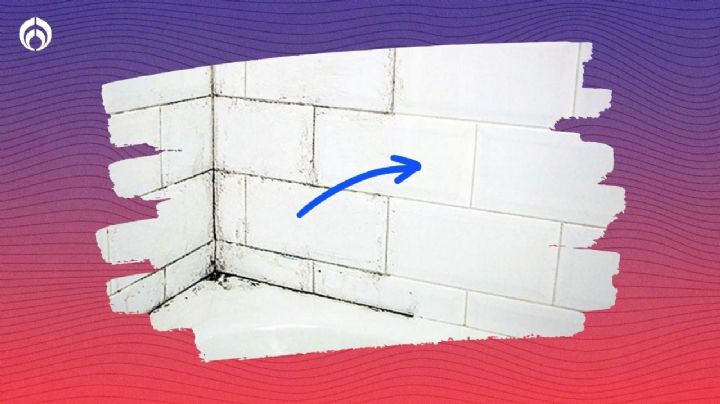 Tip de hoteles de lujo para quitar el moho de los azulejos de tu baño y que rechine de limpio