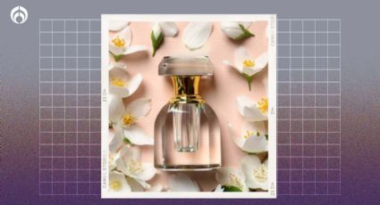 Fraiche: 6 ricos perfumes con olor a jazmín ideales para el verano