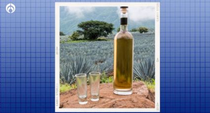 El tequila reposado poco conocido y super barato que pasó todas las pruebas de Profeco