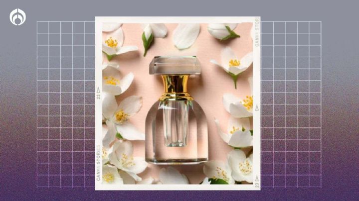 Fraiche: 6 ricos perfumes con olor a jazmín ideales para el verano