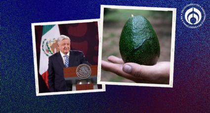 AMLO se 'enoja' con EU por crisis del aguacate; 'se enrarece todo por elecciones'