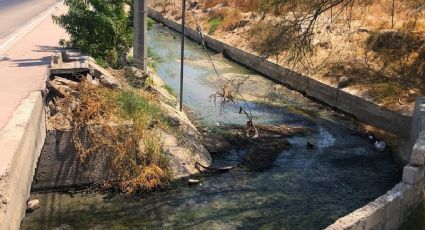 (VIDEO) Desastre ambiental en BCS: aguas negras contaminan la Ensenada de La Paz 