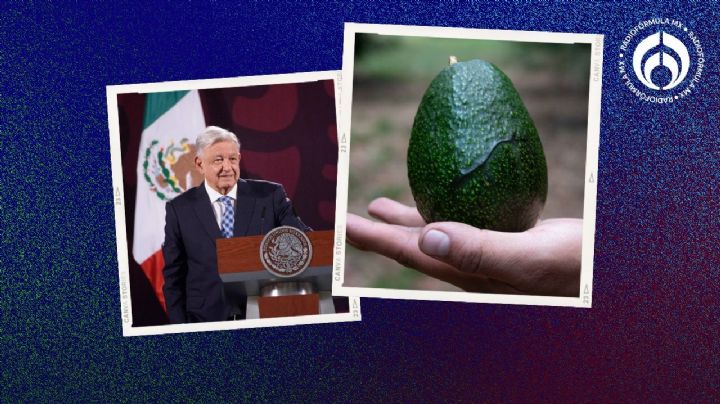 AMLO se 'enoja' con EU por crisis del aguacate; 'se enrarece todo por elecciones'