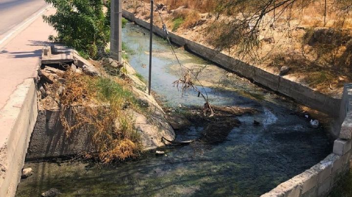 (VIDEO) Desastre ambiental en BCS: aguas negras contaminan la Ensenada de La Paz 