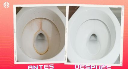 Trucazo barato para que tu taza de baño se limpie en cada descarga y no huela a orines