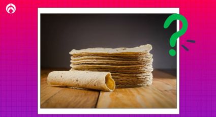 Truco para que las tortillas estén suaves más tiempo y no se llenen de moho