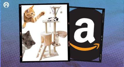 Amazon remata el rascador para gatos más vendido de varios niveles (menos de 900 pesos)