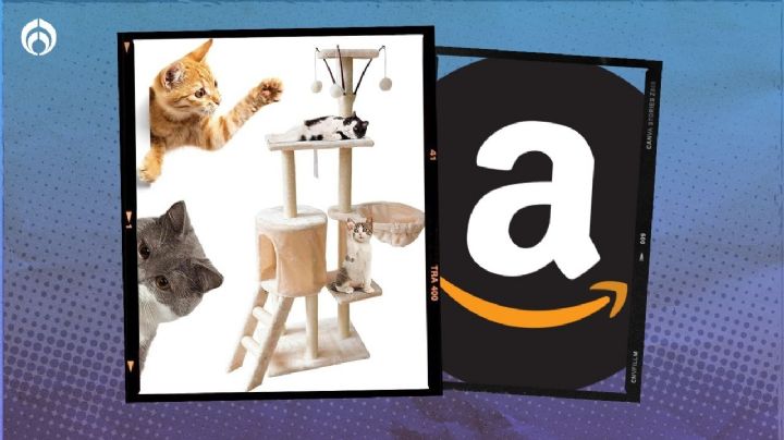 Amazon remata el rascador para gatos más vendido de varios niveles (menos de 900 pesos)