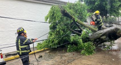 Lluvias en Morelos: ¿Cuáles han sido las afectaciones hasta el momento?