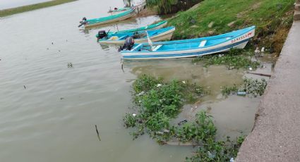 Lluvias devuelve la vida a Laguna de Champayan; reactivan corredor industrial