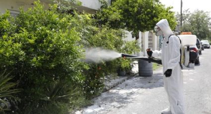 Implementan programa de fumigación en colonias de Escobedo NL