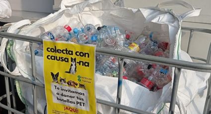 Enfrenta la crisis hídrica con reciclaje: mascotas y entorno ecológico de Tamaulipas lo necesitan