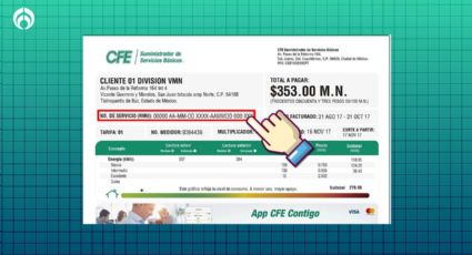 ¿Cómo saber mi número de servicio CFE con el medidor y sin recibo de luz?