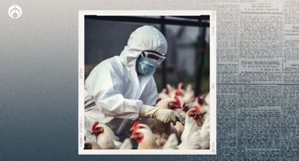 Gripe aviar en México: mexiquense muere de A(H5N2); es el primer caso global