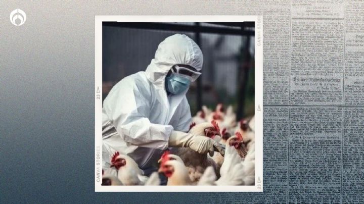 Gripe aviar en México: mexiquense muere de A(H5N2); es el primer caso global