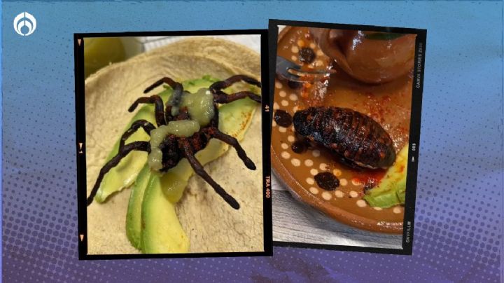 El lugar en CDMX que vende comida prehispánica: tacos de tarántula y cucarachas