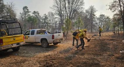 Liquidarán por completo incendio en Yécora este fin de semana