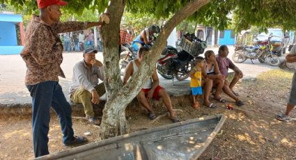 Sequía extrema en Veracruz: desaparece el 80% del agua en Laguna el 'Mirador'