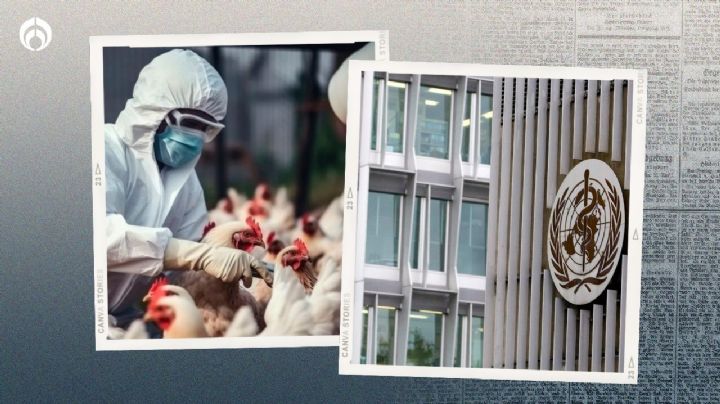 OMS aclara que mexiquense no murió por gripe aviar; fue un choque séptico