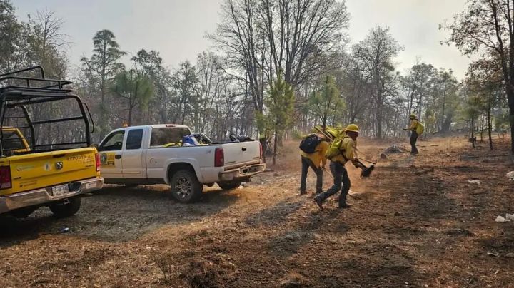 Liquidarán por completo incendio en Yécora este fin de semana