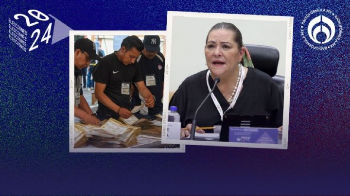 Taddei ‘batea’ a Morena: ‘Improcedente que INE atraiga conteo de votos de Jalisco’, dice