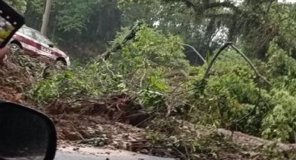 Taxista derrapa en carretera federal Fortín-Huatusco; cierran circulación por deslave