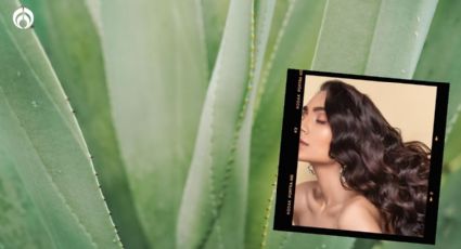 Haz tu propio aceite de sábila con solo 2 ingredientes para que tu cabello crezca rápido y brilloso