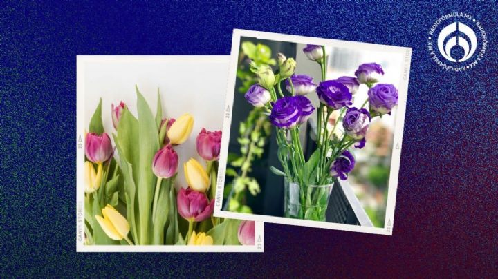 Los 6 trucos que pocos conocen para que las flores te duren más tiempo en el florero