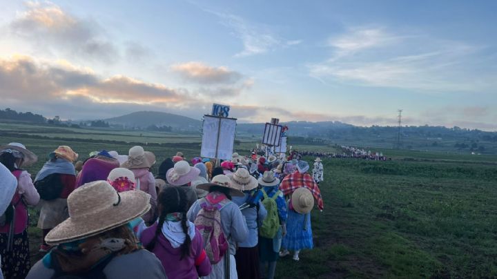 Peregrinación al Tepeyac: listo operativo de seguridad para acompañar a los guadalupanos