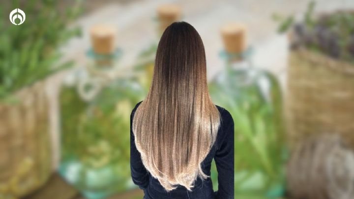 La forma correcta de usar romero y aguacate para que tu cabello crezca largo, hermoso y sano