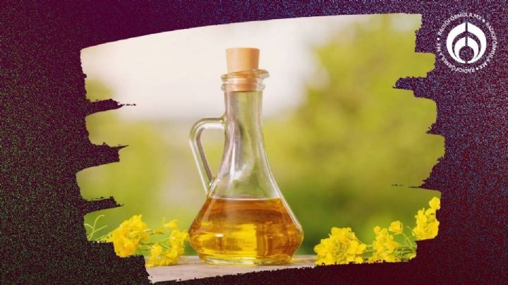 Este es el mejor aceite de canola y más barato para cocinar, según Profeco