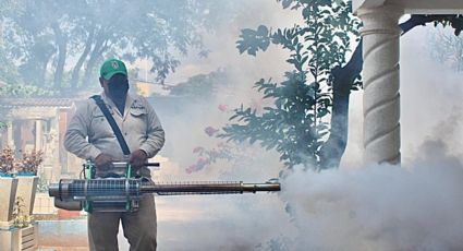 Dengue en México: lluvias intensas incrementan los casos en Morelos; hay 8 muertos