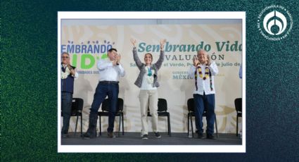 Sheinbaum garantiza continuidad de 'Sembrando Vida': programa 'genera patria'