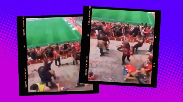 Comisión disciplinaria investiga pelea y asesinato en el Xolos vs. Chivas; habrá sanciones