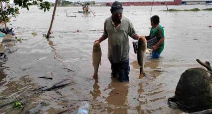 Denuncian estafa en programas federales de pesca por falsos gestores en Tamaulipas