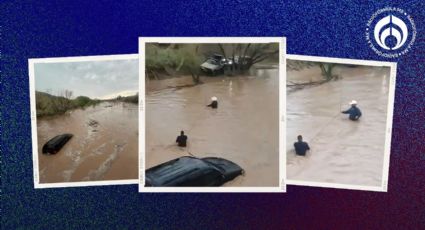 'El Héroe del Sombrero’: salva a familia atrapada en vehículo tras tormenta en Sonora (VIDEO)