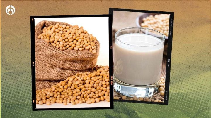 La 'leche' con más contenido de soya y más barata que puedes comprar, según Profeco