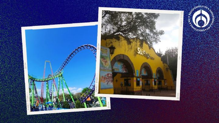 Six Flags saca bandera blanca: construirá nueva montaña rusa en otra zona y sin talar árboles