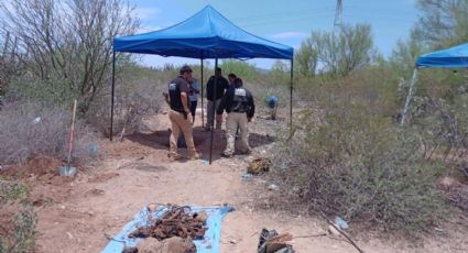 Guerreras Buscadoras de Guaymas y Empalme localizan cinco fosas clandestinas