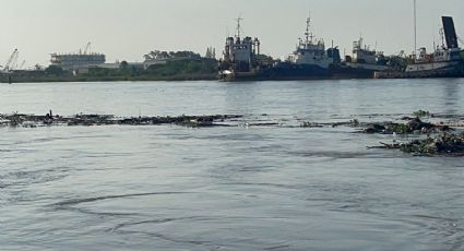 Puerto de Tampico detiene operaciones por oleada de basura y palizada