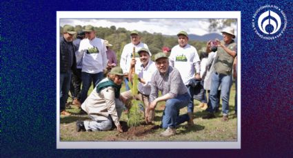 'Sin bosques no hay agua', conoce la campaña de reforestación lanzada por Ramírez Bedolla