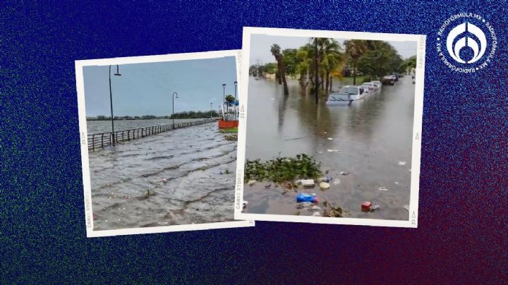 'Chris' dejó en Tamaulipas inundaciones, desborde de laguna… y cocodrilos (VIDEOS)