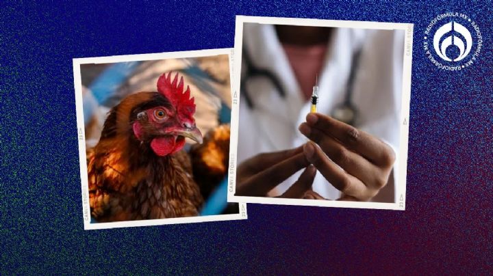 ¿Pandemia a la vista? EU 'mete velocidad' al desarrollo de vacuna contra gripe aviar