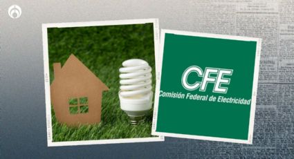 Cómo ahorrar luz muy fácil: 10 consejos de la CFE